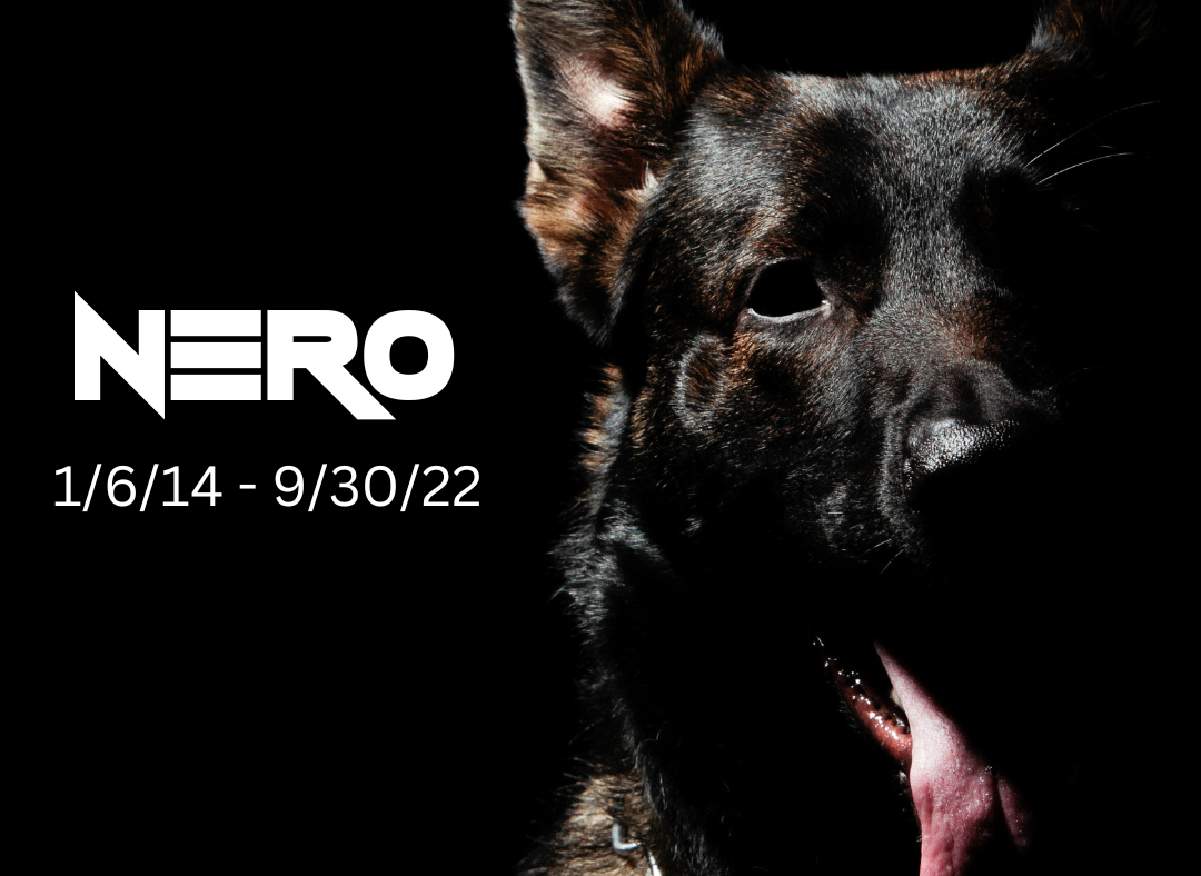 Nero German Shepherd Death