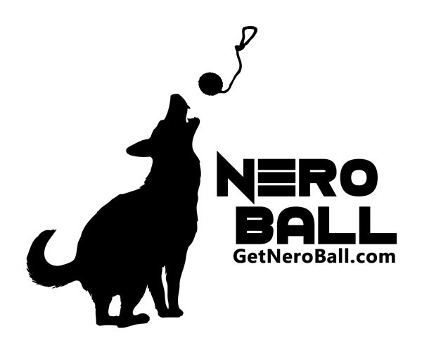 The Nero Ball logo