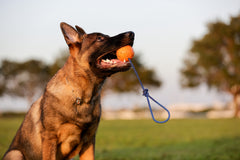 Christmas Stocking 2 Ball Bundle