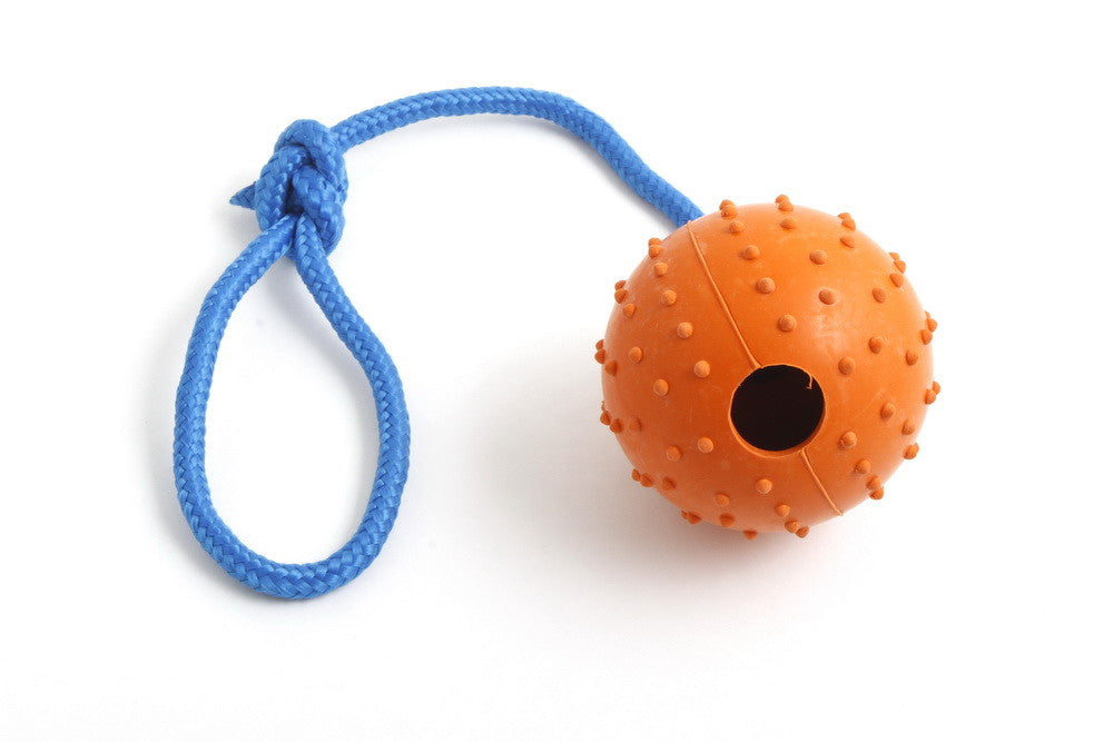 Nero Ball Puppy